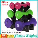 6Pcs Dumbells Hand Weights Vinyl Dumbbells Set Home Fitness Exercise Ladie NEW