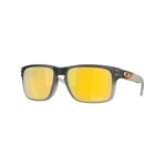 Oakley Holbrook - Prizm 24K Polarized OO9102-AH55