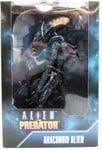 Alien vs Predator - NECA - Arachnoid Alien