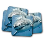 4 Set - Great White Shark Drinks Coaster - Ocean Sea Marine Diving Gift #8474