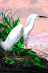 The Dybdahl Co. - Affisch Snowy Heron Remixed - Vit