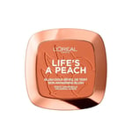 Loreal True Match Powder 1D/1W Golden Ivory