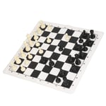 Chess Set Plastic International Chess Set Black And White Checkerboard Set TDM