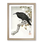 A Crow On The Blossom Tree By Ohara Koson Asian Japanese Framed Wall Art Print, Ready to Hang Picture for Living Room Bedroom Home Office Décor, Oak A2 (64 x 46 cm)