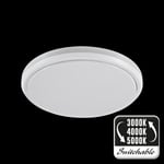 Plafond Roundy TLE-15 15W