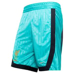 Liverpool Basketball Shorts Dna Lebron x Liverpool Fc - Turkis/gull - Nike, størrelse Large