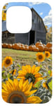 iPhone 15 Pro Sunflowers Orange Pumpkin patch Sunflower farm Case