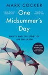 One Midsummer&#039;s Day  Swifts and the Story of Life on Earth