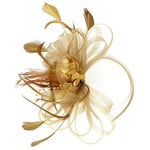 SJTJSPX Fascinator Chapeau Femme Fille Chapeau Bibi Accessoires Cheveux Maille Filet Chapeau Mariage Elegant Voile Bandeau Clip Serre-tête Mariée Chapeaux de Église Tea Party Cocktail Royal Ascot