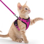 rabbitgoo Harnais Chat Anti évasion avec Laisse Rose Rouge XXS, Harnais Chaton Petit Chien Réglable, Collier Harnais et Laisses pour Chat Refléchissant Attache Dessus Gilet Respirant pour Lapin Chiot