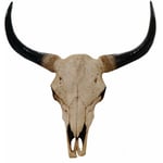 Tête de taureau décoration murale 45cm trophée longhorn en polyrésine intérieur/extérieur naturel 040002848