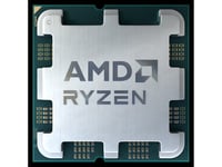 Amd Amd Ryzen 9 7900X