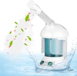 Facial Steamer, Desktop Facial Steamer Spray, Facial Sauna Spa, Hand Face Steam