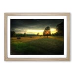 Big Box Art Landscape Tree and Hay Bales Framed Wall Art Picture Print Ready to Hang, Oak A2 (62 x 45 cm)