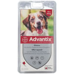 Advantix Chien moyen de 10 kg - 25 Pipette(S) Unidose(S) 6 pc(s)