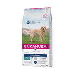 Eukanuba Daily Care Torrfoder Överviktiga Hundar 12kg