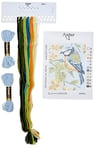 Anchor Kit de Broderie pour Débutant Mésange Bleue Multicolore