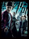 Harry Potter - Half Blood Prince -  Official 30 x 40cm Framed Print Wall Art