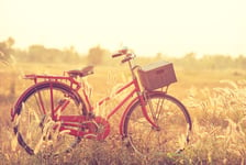 Beautiful landscape image with Bicycle at summer grass fieldclassic bicycleold bicycle style for greeting Cards post card