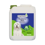 Espree Blueberry Bliss Shampoo - 5 L