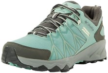 Columbia Women's Peakfreak II Outdry Low Hiking Shoes