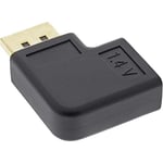 InLine 17199R Adaptateur DisplayPort mâle/Femelle coudé à Droite