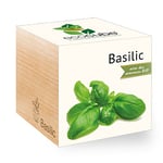 Feel Green Ecocube Basilic Certifiées Bio, Idée Cadeau (100% Ecologique), Grow-Your-Own/Kit Prêt-à-Pousser, Plantes Dans Des Cubes En Bois 7.5cm, Produit En Autriche