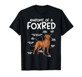 Anatomy Of A Foxred Lab Fox Red Labrador Retriever T-Shirt