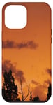 Coque pour iPhone 15 Plus Sapins, nuages et ciel ombré orange doré