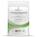 Bodygenix Lions Mane Mushroom Capsules - 500mg Anti Inflammatory Immune System Cognitive Functionality Support Natural Supplement - 120 Caps 4 Month Supply