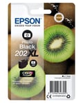 EPSON Singlepack Photo Black 202XL Kiwi