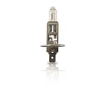 Halogenlampa H1 24V Philips MasterDuty 70W