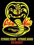 Pyramid International Cobra Kai (No Mercy) Canvas