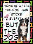 Shawprint Bernese Mountain Dog Fridge Magnet 100mm x 75mm HOME IS WHERE THE DOG HAIR STICKS TO EVERYTHING BUT THE DOG Novelty Gift