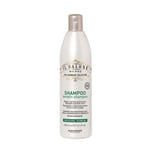 Shampoo Cheveux Endommagé ALFAPARF MILANO Le Salon Keratin 500ml