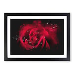 Big Box Art Drops Upon a Red Rose Paint Splash Framed Wall Art Picture Print Ready to Hang, Black A2 (62 x 45 cm)