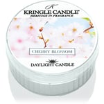 Kringle Candle Warm Cotton tealight candle 42 g