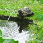 Ubbink Trädgårdsfontän sköldpadda 442055