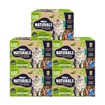 Webbox Naturals Complete Kitten (1-12 Months) Wet Cat Food, 60 x Meat & Fish in Jelly Variety Pack - Made with Natural Ingredients and No Nasties (60 x 100g Pouches)