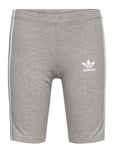 Cycling Shorts Sport Shorts Grey Adidas Originals