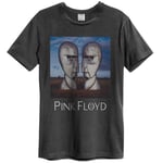 Amplified Unisex Adult The Division Bell Pink Floyd T-Shirt XXL Grey