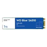 WD Blue SA510 WDS100T3B0B - SSD - 1 TB - SATA 6Gb/s