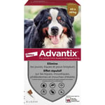 ADVANTIX Chien Solution Antiparasitaire Très Grande Race 40 à 60kg 6 pipettes