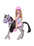 Barbie Chelsea and Pony doll