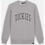 Sweat-shirt Dickies  Aitkin sweatshirt