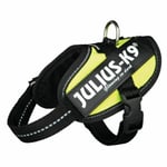 Harnais pour Chien Julius K9 IDC Jaune 2 Baby 2 [XS/S]