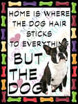 Shawprint Boston Terrier Dog Fridge Magnet 100mm x 75mm HOME IS WHERE THE DOG HAIR STICKS TO EVERYTHING BUT THE DOG Novelty Gift