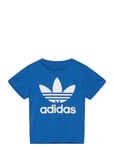 Trefoil Tee Blue Adidas Originals