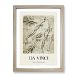 Human Anatomy Vol.1 By Leonardo Da Vinci Exhibition Museum Painting Framed Wall Art Print, Ready to Hang Picture for Living Room Bedroom Home Office Décor, Oak A2 (64 x 46 cm)