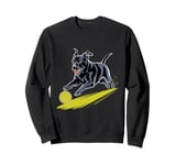 Black Labrador Retriever chasing a ball Labrador Retriever Sweatshirt